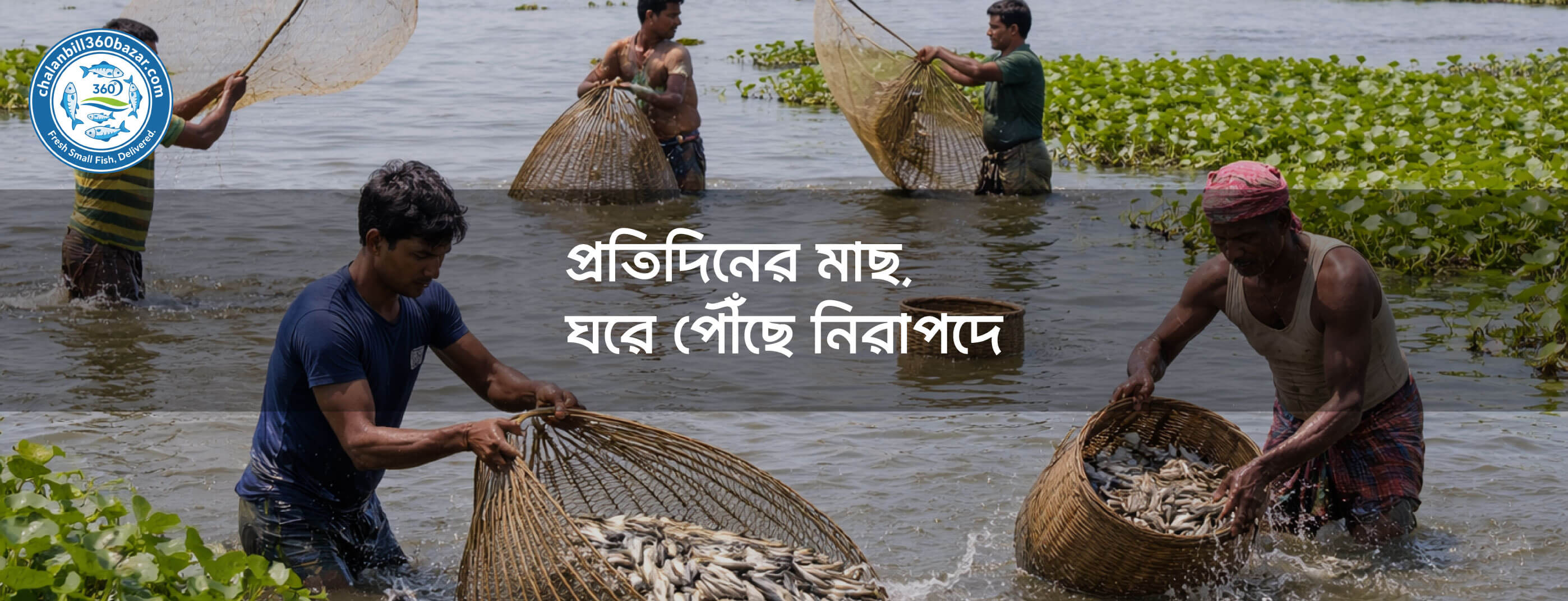 প্রতিদিনের মাছ, ঘরে পৌঁছে নিরাপদে